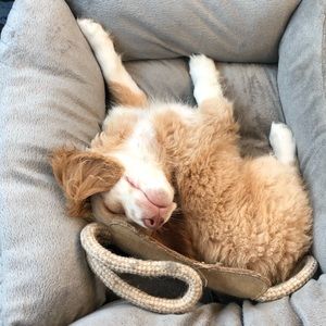 Meet your Posher, Anna